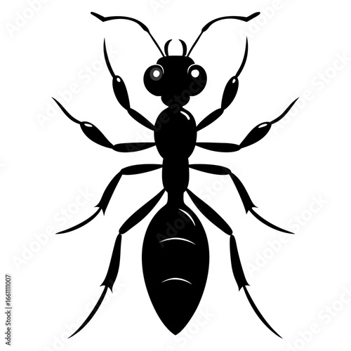 Black silhouette of a carpenter ant isolated on white background