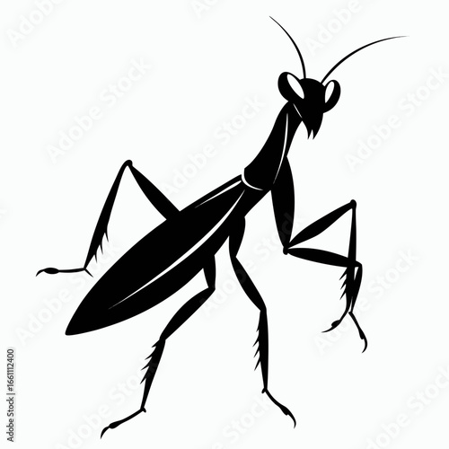 Black silhouette of a praying mantis insect isolated on white background