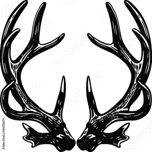 Black and white illustration of symmetrical deer antlers