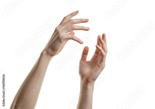 Two open hands reaching up isolated on transparent background