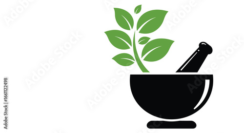 Herbal Medicine with Mortar and Pestle