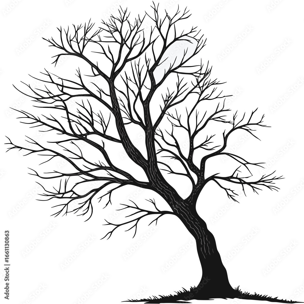 Obraz premium Leafless tree