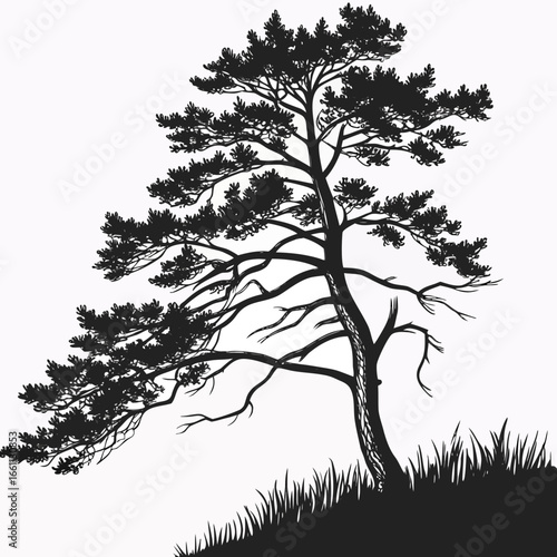 Wallpaper Mural Pine tree Torontodigital.ca