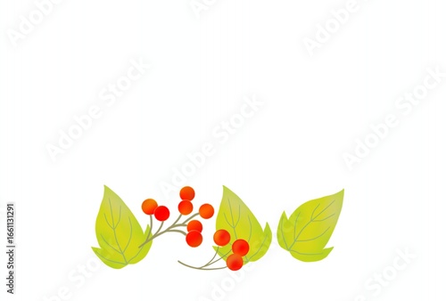 秋の植物のポストカード