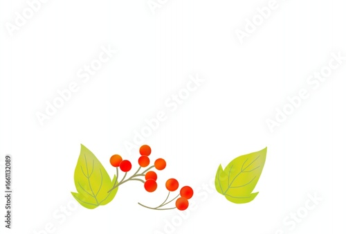 秋の植物のポストカード