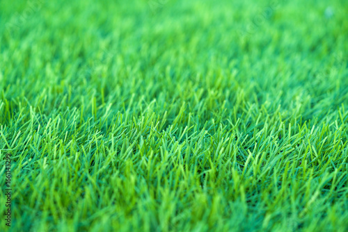Green fake grass artificial lawn football soccer playground ground texture