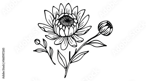 A vintage vector sketch of a black rose blossom branch is a seamless floral pattern illustration for summer garden decoration