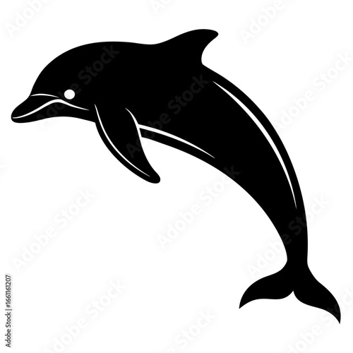 dolphin isolated on white