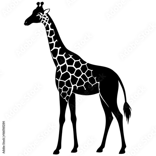 giraffe silhouette vector
