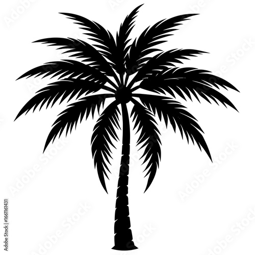silhouette of palm tree