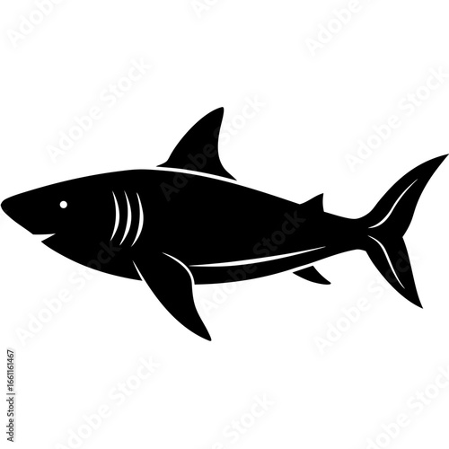 shark vector illustration