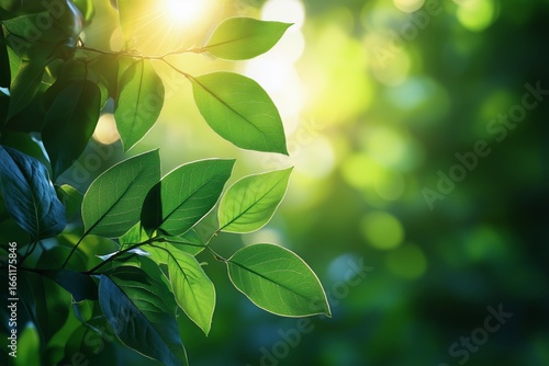 Green Leaves Glisten Under Sunlight in a Peaceful Forest Setting During the M...
