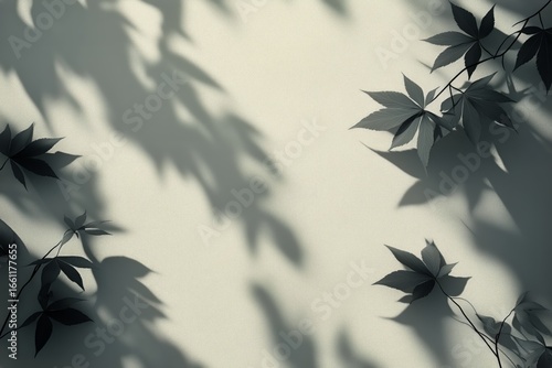 Shadows of Leaves Cast on a Light Surface Creating an Artistic Pattern in a S...