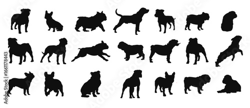 Set bulldog silhouette vector illustration
