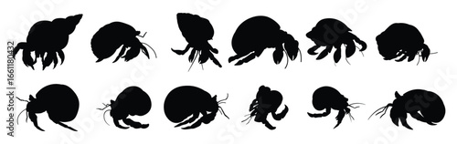Set of hermit crab silhouettes