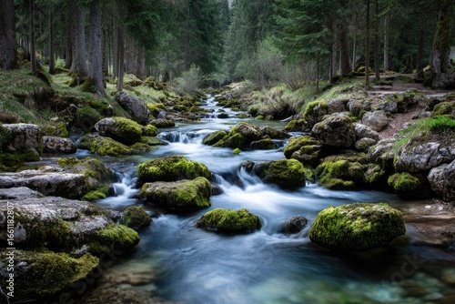 Mountain stream, mossy rocks, lush forest