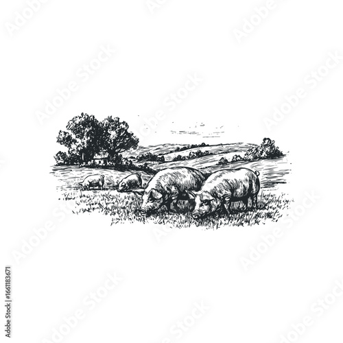 Farm animals grazing peacefully in a pastoral landscape