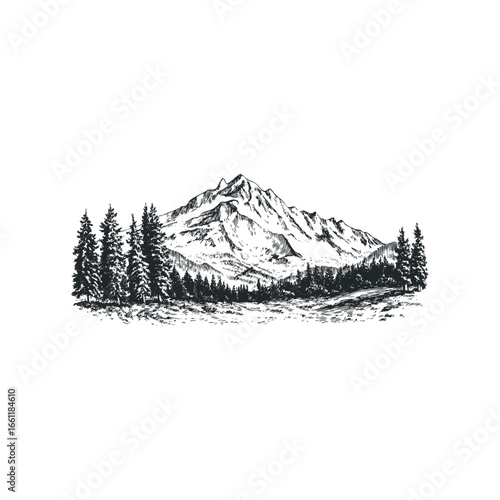 Hand Drawn Mountain Landscape with Evergreen Trees and Grassy Field