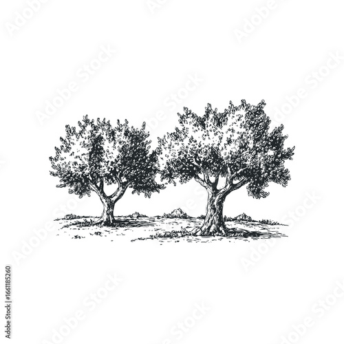Two ancient trees with textured trunks and leafy canopies stand on a grassy landscape
