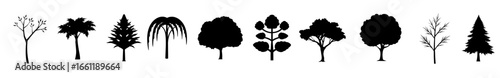 A collection of diverse tree silhouettes representing various arboreal forms and deciduous and evergreen species
