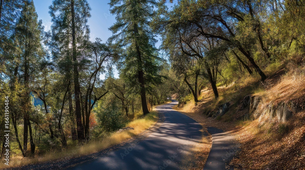 Obraz premium Tranquil winding road meanders through a sunlit autumn forest. Tall green trees and golden leaves cover the hilly landscape. Beautiful natural path.