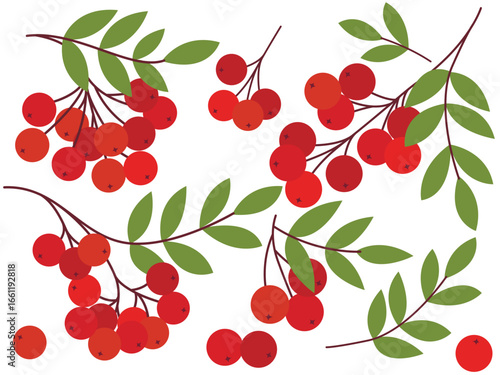 Hand drawn set of ripe rowan berries. Red orange fresh berries of different variations - on branch with foliage, in group, single isolated on white background. Autumn natural decor, vector elements