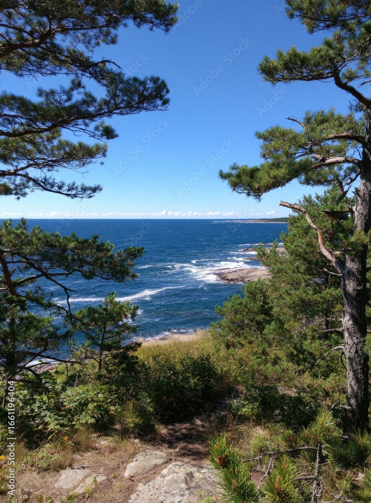 Obraz premium Coastal view framed by pine trees