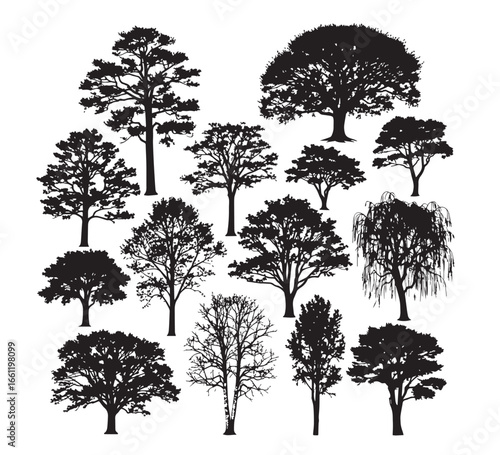 A versatile collection of detailed tree silhouettes and nature vector illustrations, perfect for forest and season-themed designs