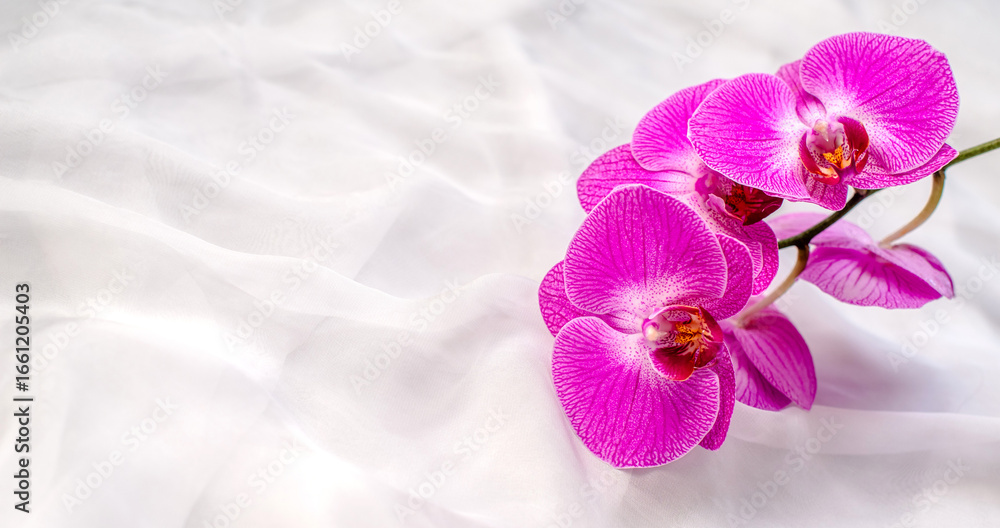 Fototapeta premium The branch of purple orchids on white fabric background 