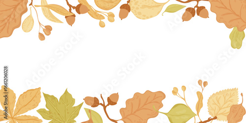 Fall leaves and seeds horisontal banner. Autumn season vector print on white background. For falling festive thanksgiving designs.