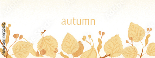 Falling linden leaves and seeds horisontal banner. Autumn season vector print on white. Art background, poster, cover or flyer design vector template.
