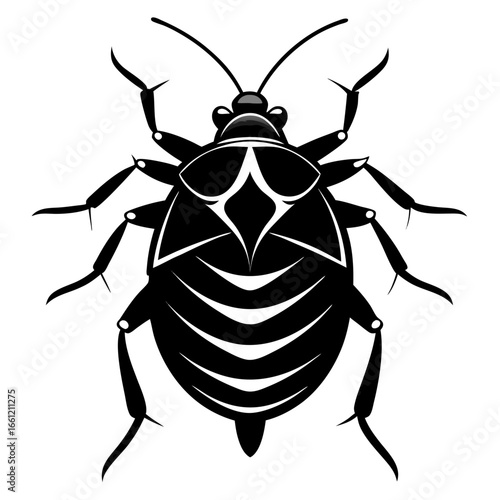 Black silhouette of a bedbug isolated on white background