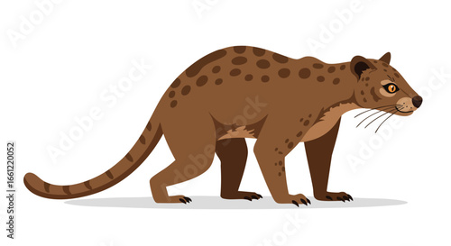 A brown fossa, a cat-like carnivorous mammal from Madagascar, depicted in a side profile vector illustration.
