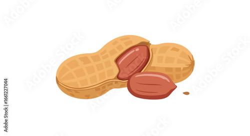 An illustration of a peanut with its shell cracked open, revealing the edible kernels on a white background.