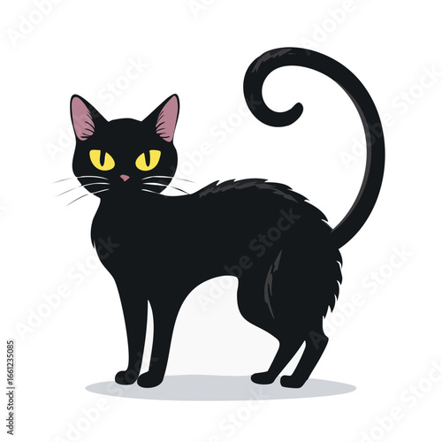 black cat halloween