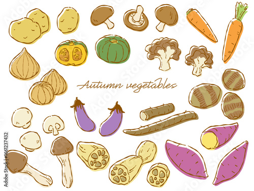 手描きのラフテイストな秋野菜のベクターイラストセット(カラー)