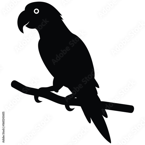 Parrot on branch silhouette vector illustration.