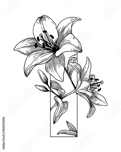 Flower skecth