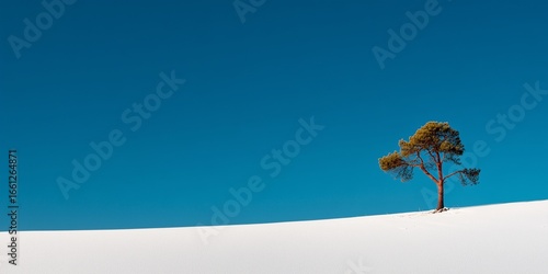 Minimalist winter landscape featuring a single bare tree with thin black branches in a vast white snowfield, 80% pale blue sky, off-center composition, high contrast, clean scene