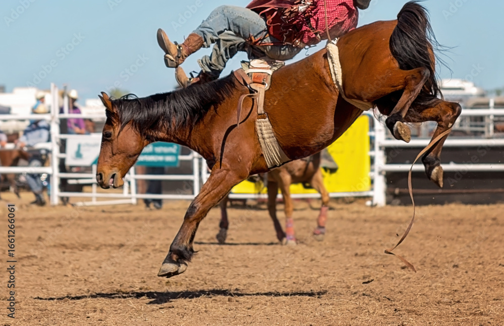 Obraz premium Bareback Bucking Bronc Riding At Country Rodeo