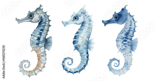 Graceful Seahorses in Blue Waters, Serene Marine Life Illustration