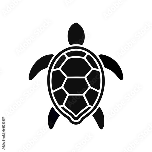 Sea turtle icon. Vector illustration isolated o white background