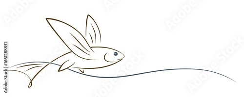 Flying Fish with blue Wave.