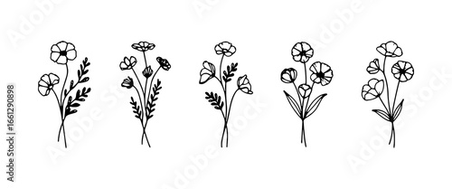Beautiful collection of hand-drawn floral illustrations arranged sequentially on a clean background