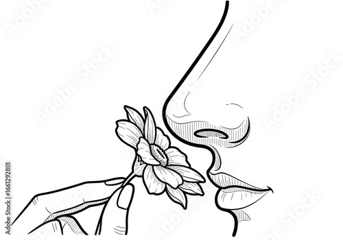 Person smelling a flower, symbolizing the appreciation of nature and sensory experiences
