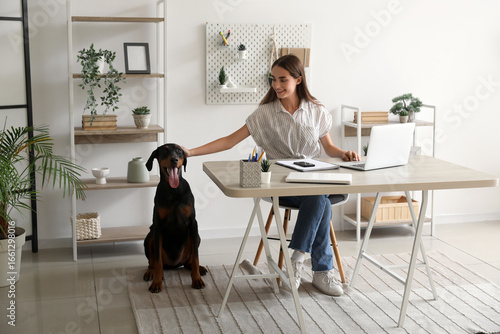 Cute Doberman dog and beaut...