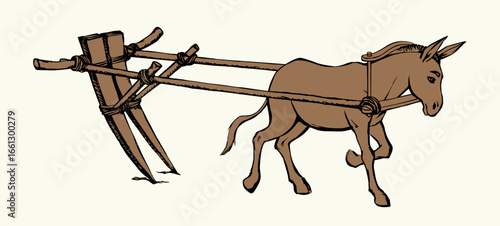Vector drawing. Cute old mule