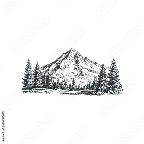 Detailed sketch of a majestic snow-capped mountain peak surrounded by pine trees
