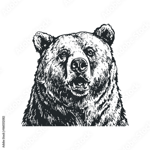 Black and white sketch of a grizzly bear with mouth open