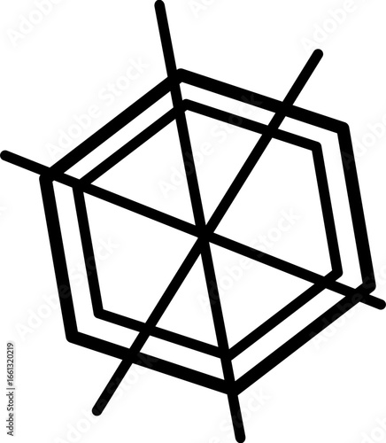 Spider Web
